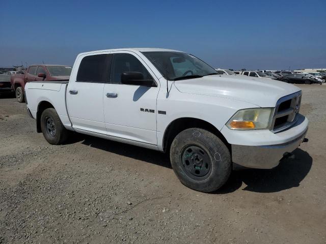 2010 Dodge Ram 1500 VIN: 1D7RB1CT1AS213905 Lot: 59929724