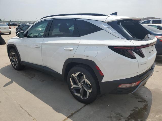 2024 HYUNDAI TUCSON LIM - 5NMJE3DE7RH381033