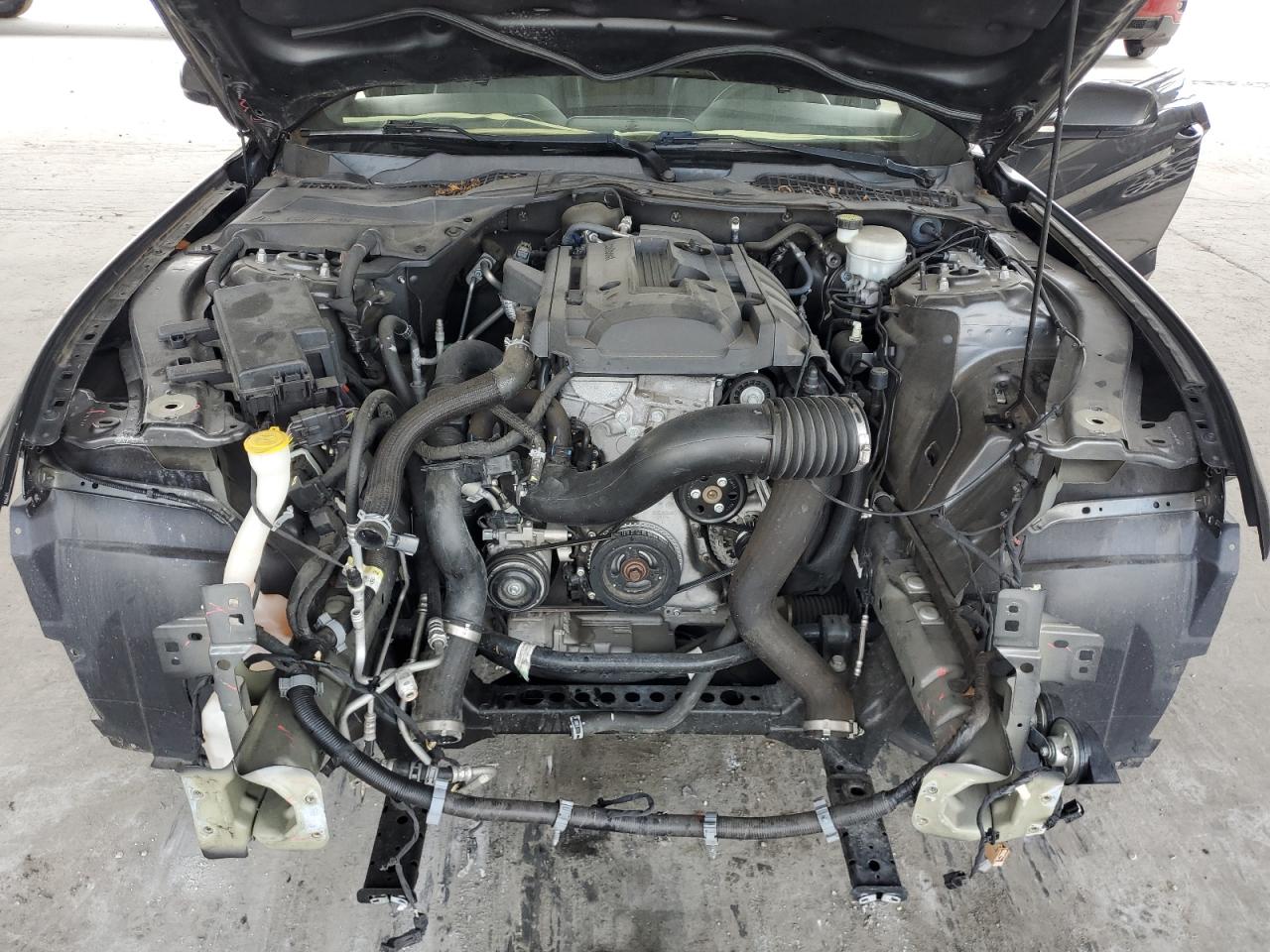 1FA6P8TH1H5245352 2017 Ford Mustang