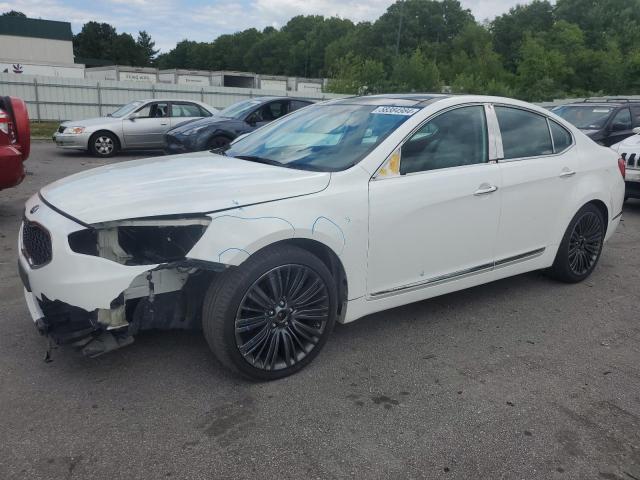 2014 Kia Cadenza Premium VIN: KNALN4D74E5141660 Lot: 58384984