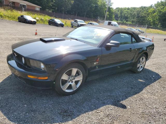 2007 Ford Mustang Gt VIN: 1ZVHT85H875365611 Lot: 59045444