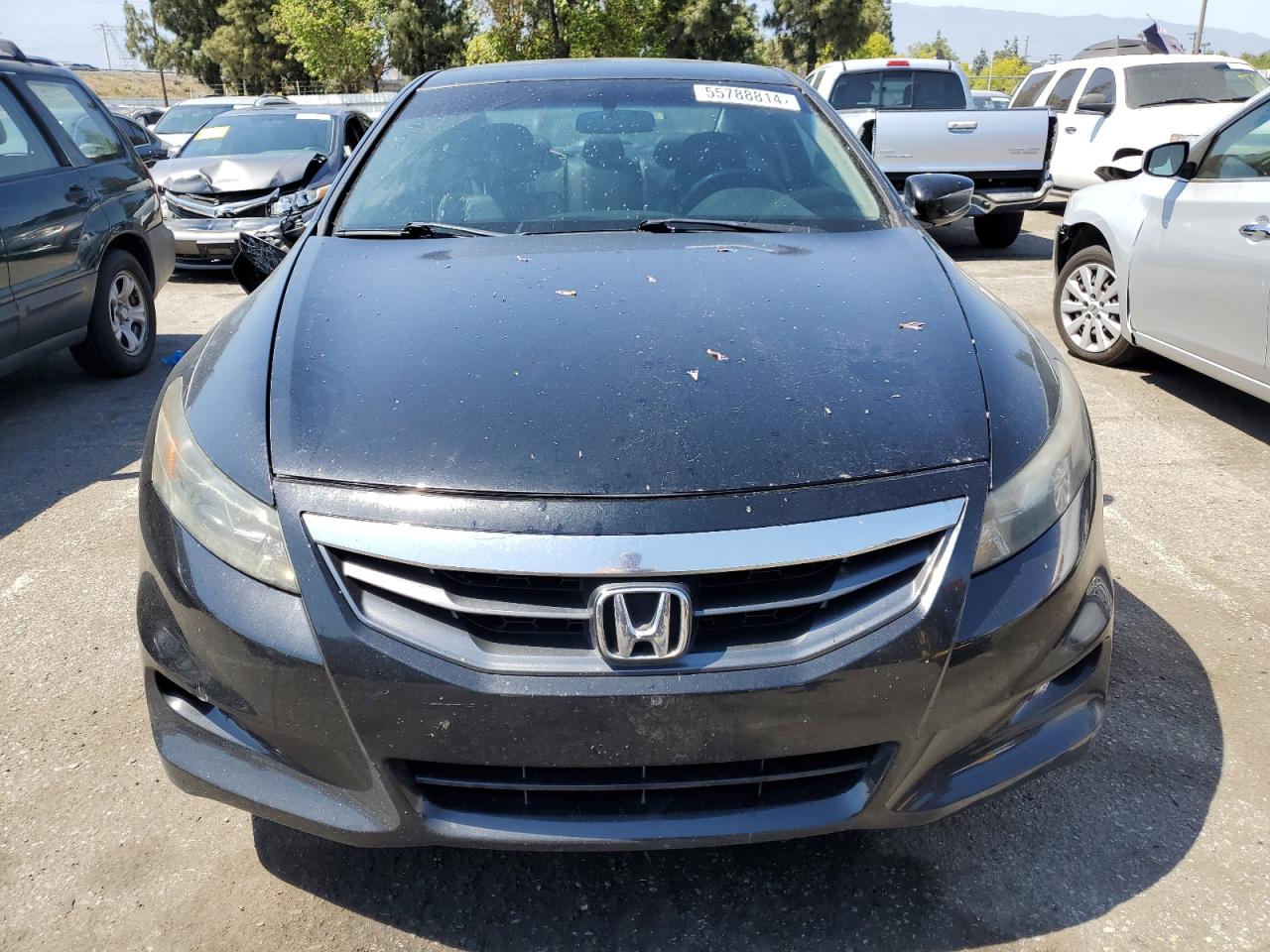 Lot #2835640103 2011 HONDA ACCORD EXL