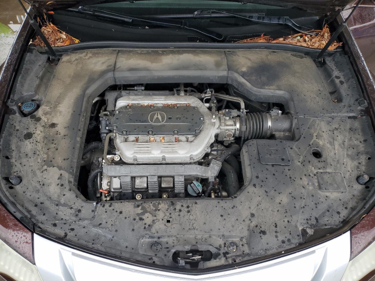 19UUA8F29AA021447 2010 Acura Tl