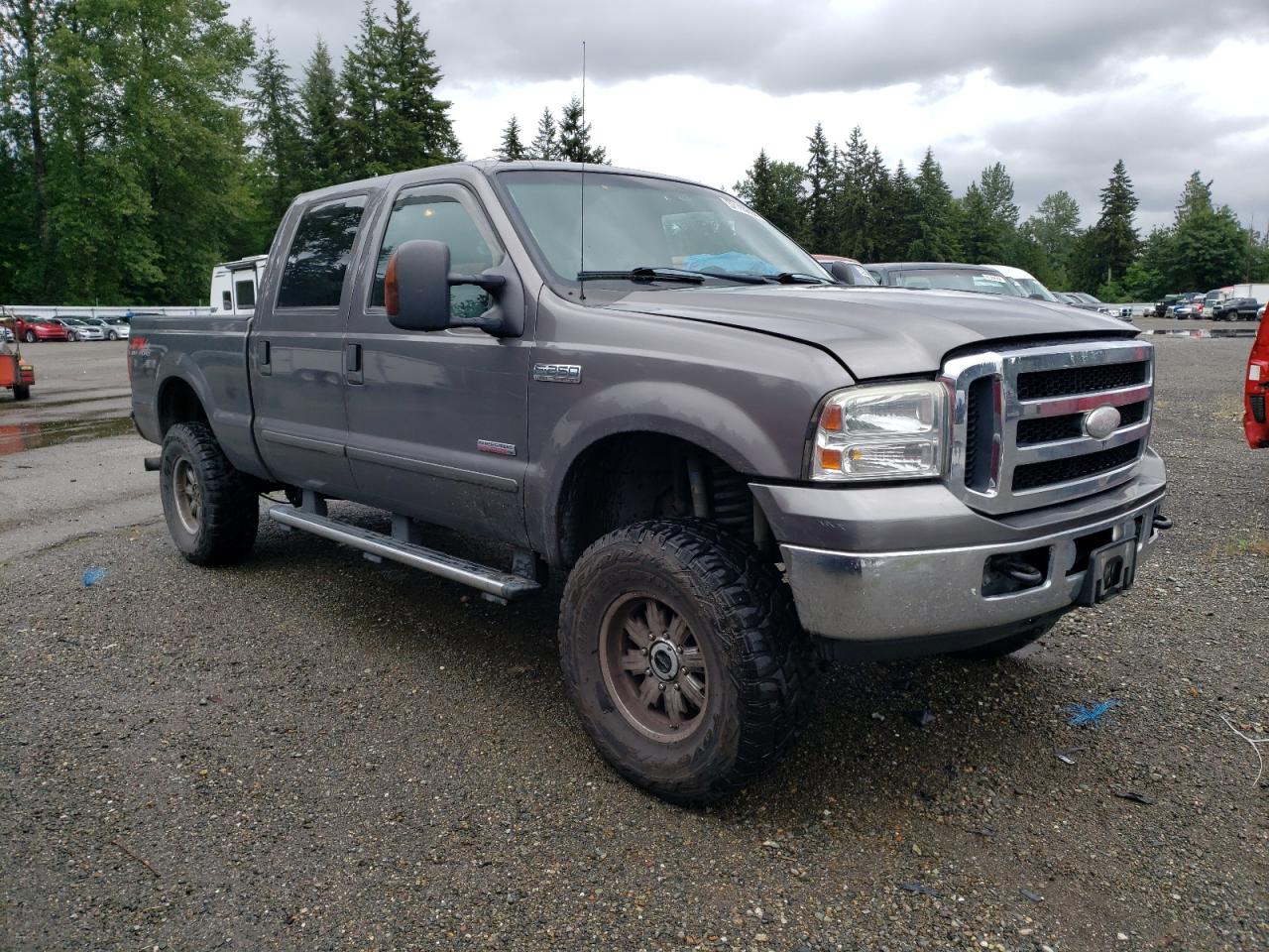 1FTSW21P46EB44130 2006 Ford F250 Super Duty