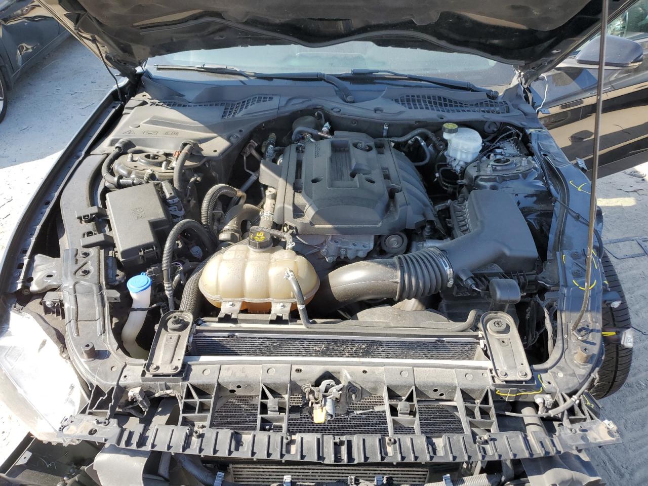 1FA6P8TH0L5136387 2020 Ford Mustang