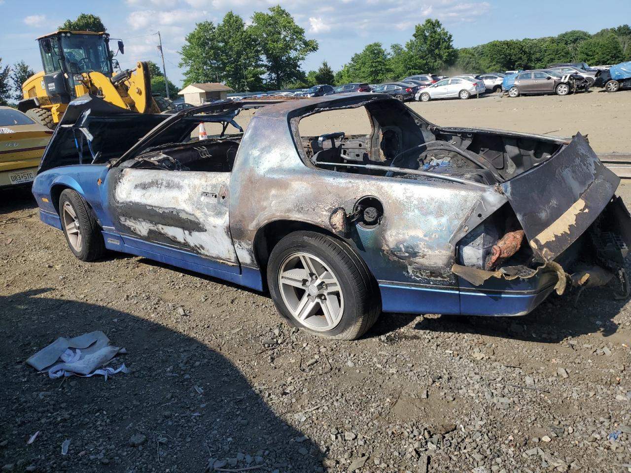 Lot #2940184460 1987 CHEVROLET CAMARO