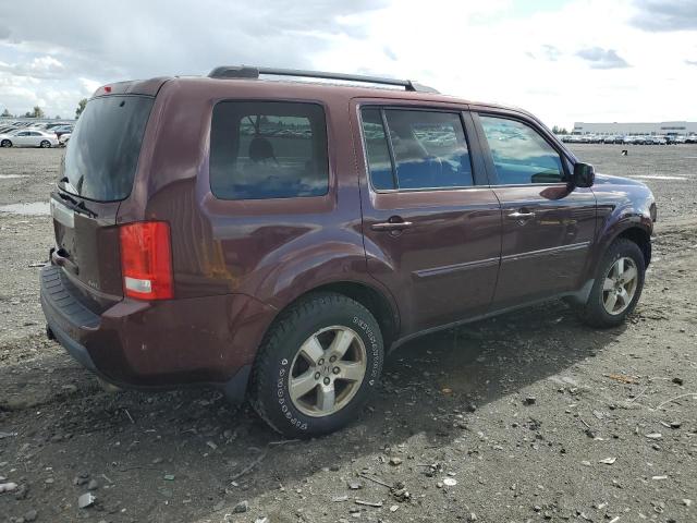 2009 Honda Pilot Ex VIN: 5FNYF484X9B044067 Lot: 57521264