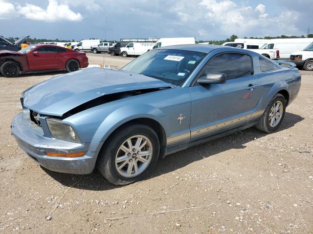 2006 Ford Mustang VIN: 1ZVFT80N565181682 Lot: 59186194