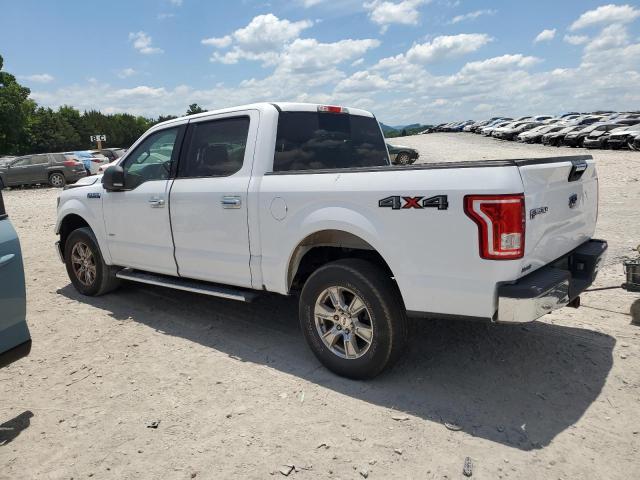 1FTEW1EP0FKE14182 2015 FORD F-150 - Image 2