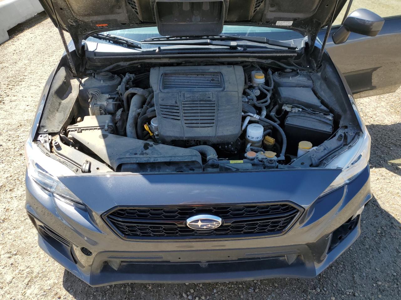 2021 Subaru Wrx vin: JF1VA1A61M9819179