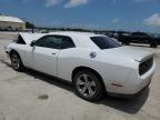 DODGE CHALLENGER photo