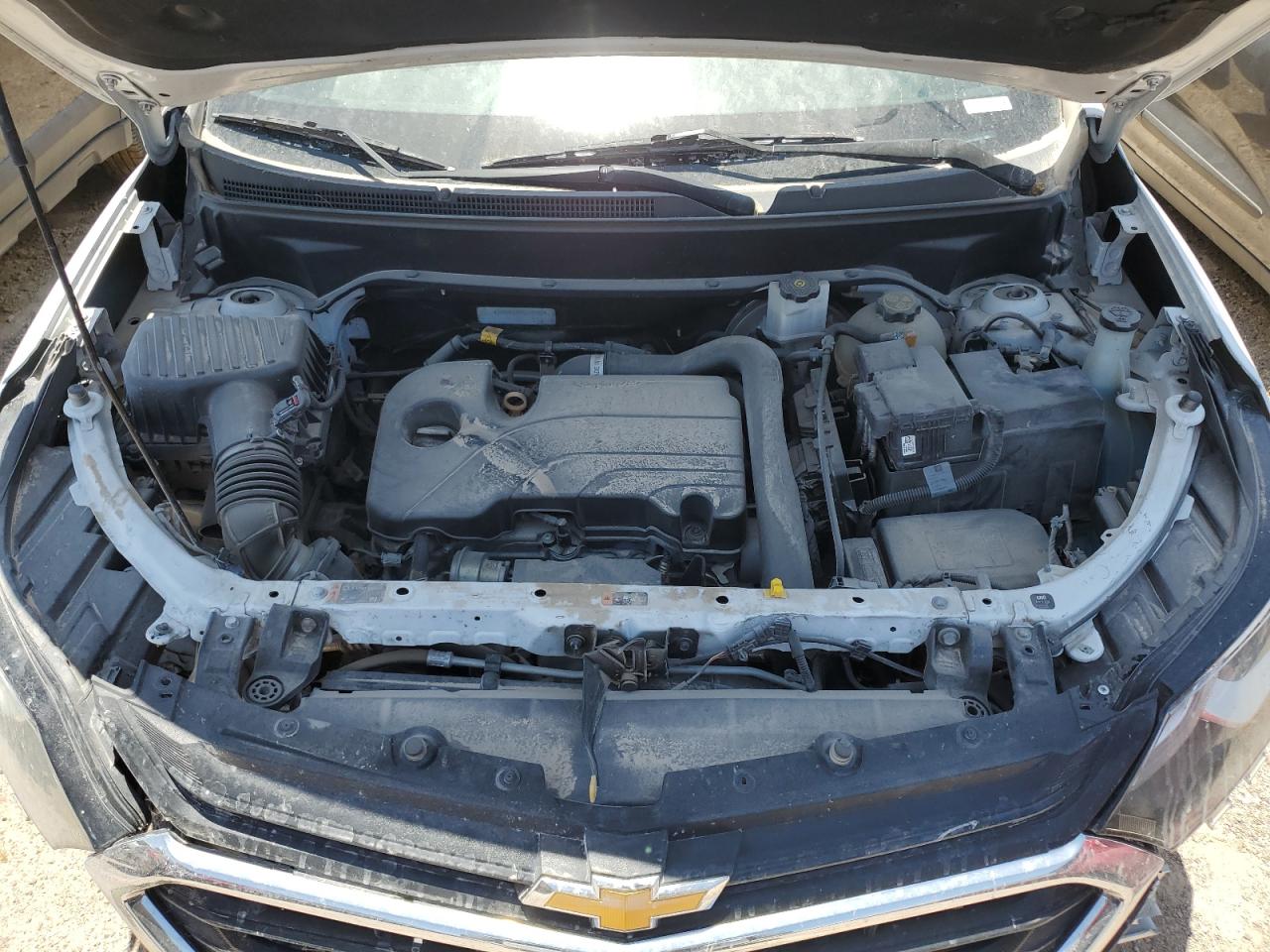 3GNAXHEV4KL354507 2019 Chevrolet Equinox Ls