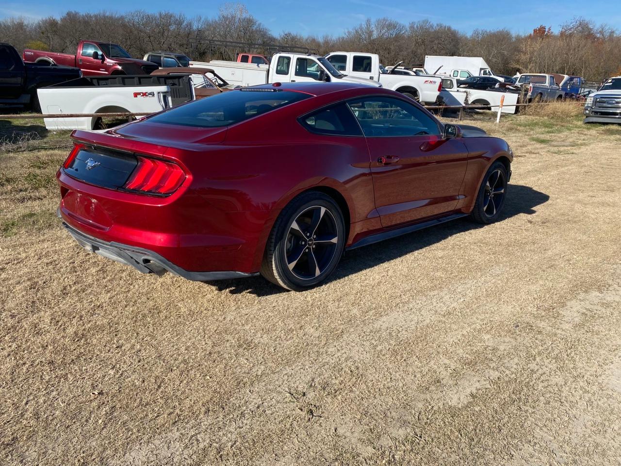 1FA6P8TH8K5197629 2019 Ford Mustang