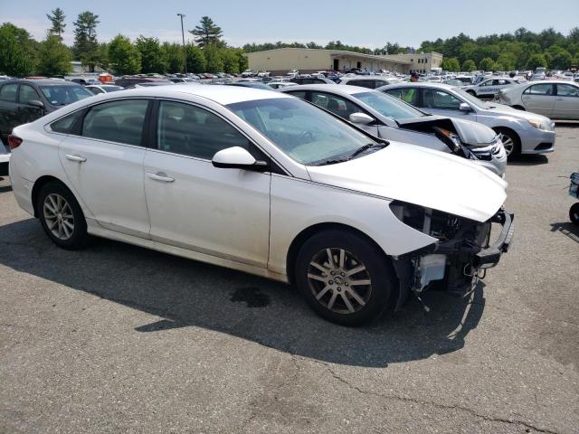 VIN 5NPE24AF3KH738794 2019 HYUNDAI SONATA no.4