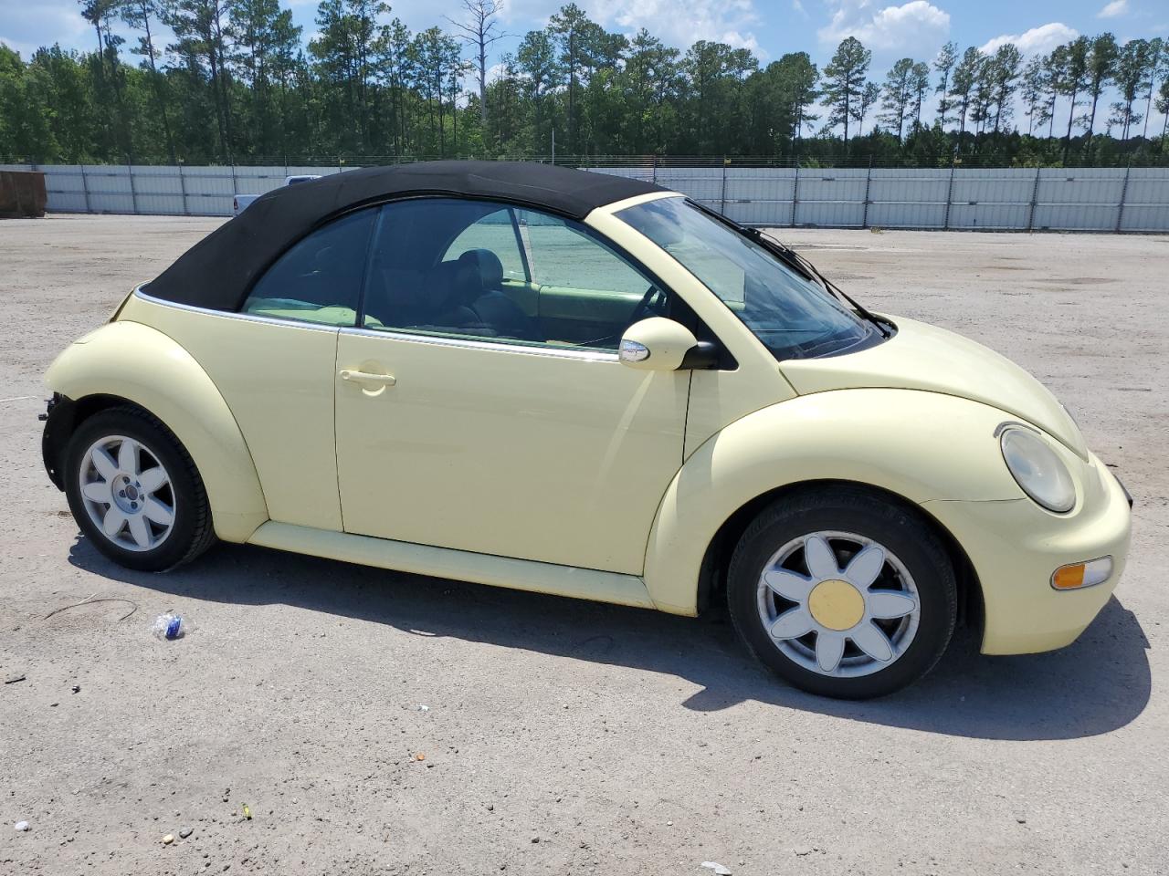 Lot #2926054768 2003 VOLKSWAGEN NEW BEETLE