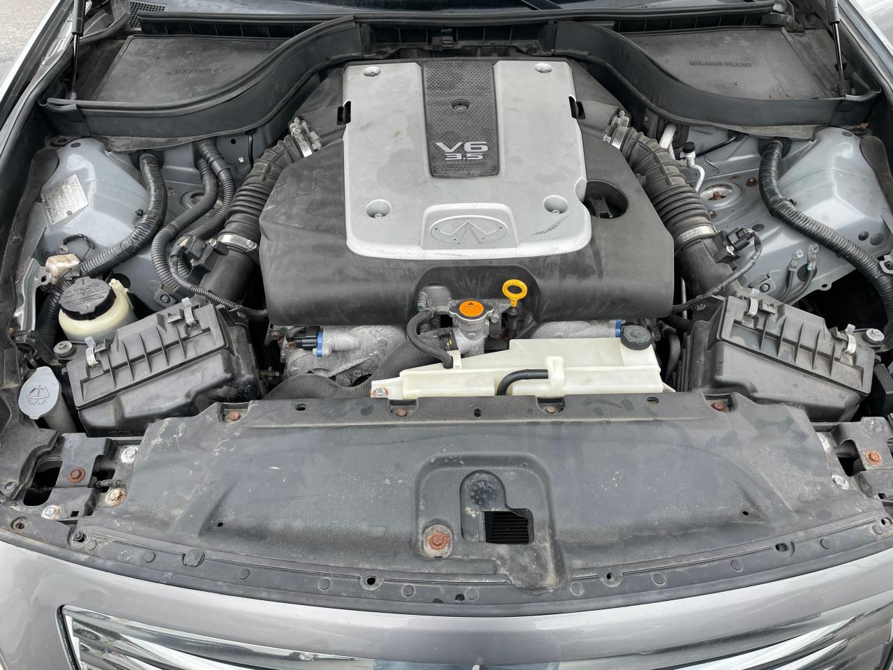 JNKBV61F18M264198 2008 Infiniti G35