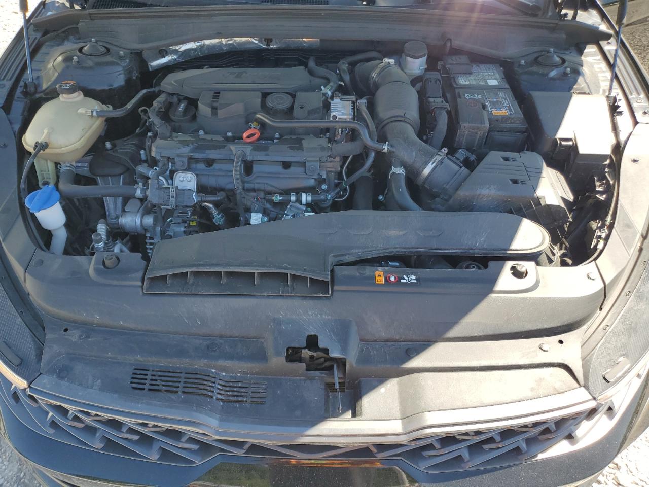 5XXG64J29RG237425 2024 Kia K5 Gt Line