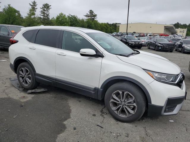 2020 Honda Cr-V Ex VIN: 2HKRW2H59LH646937 Lot: 57875604