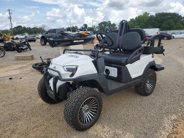 4C9A24H18PF701002 Golf Cart 2023