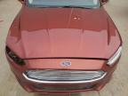 FORD FUSION SE photo