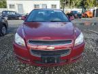 CHEVROLET MALIBU 2LT photo