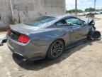 FORD MUSTANG photo