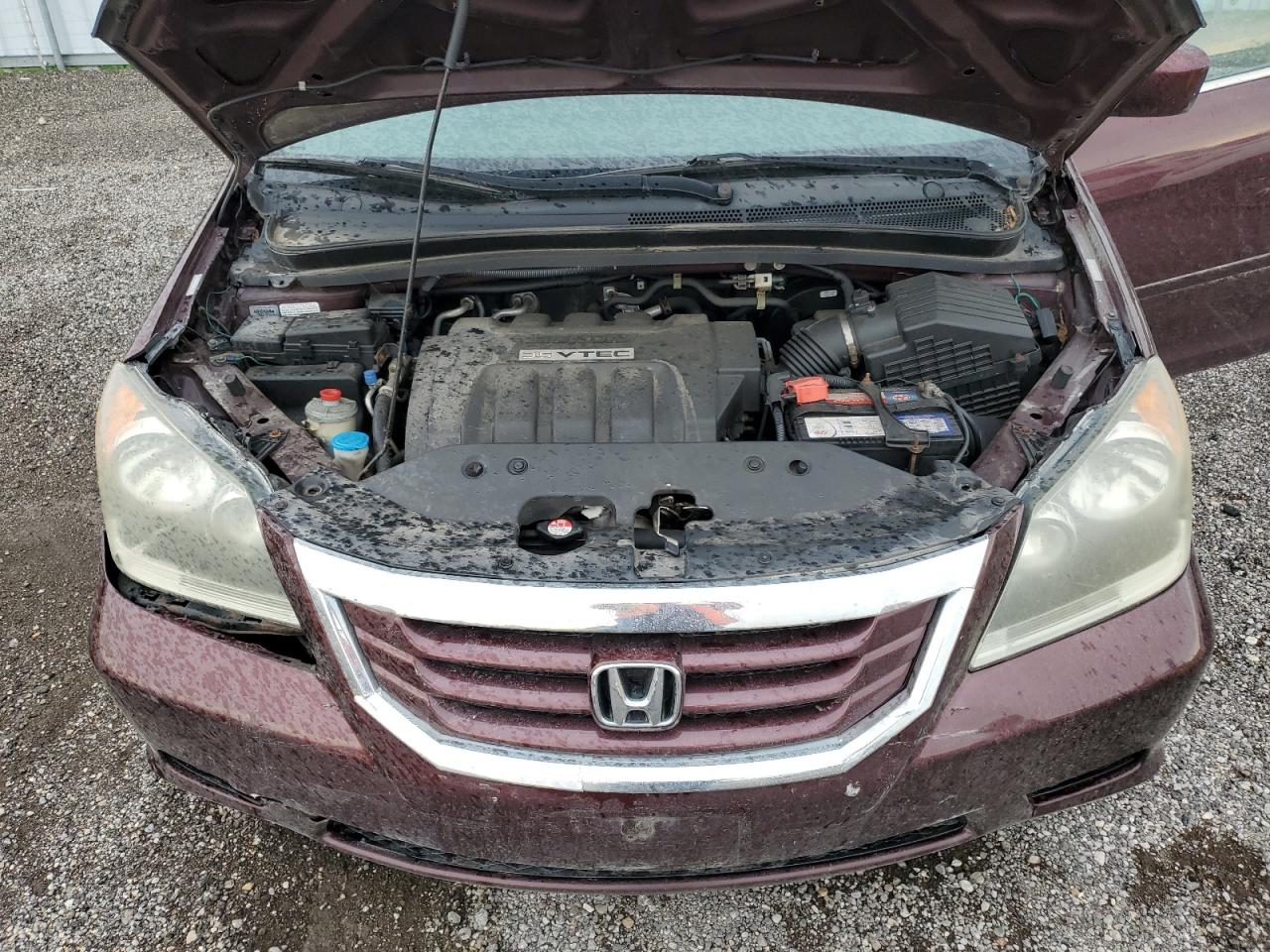 5FNRL3H57AB505861 2010 Honda Odyssey Ex