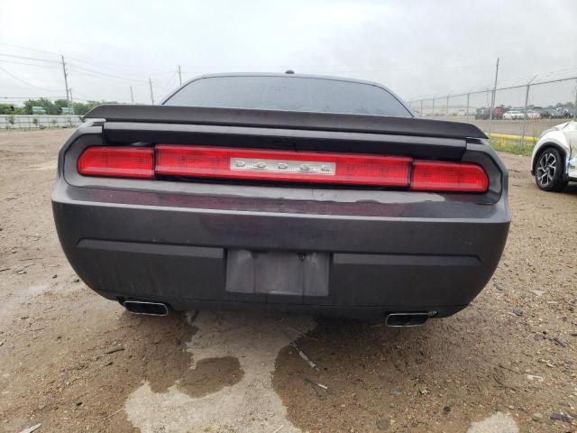 2013 Dodge Challenger R/T VIN: 2C3CDYBT9DH687007 Lot: 59744434