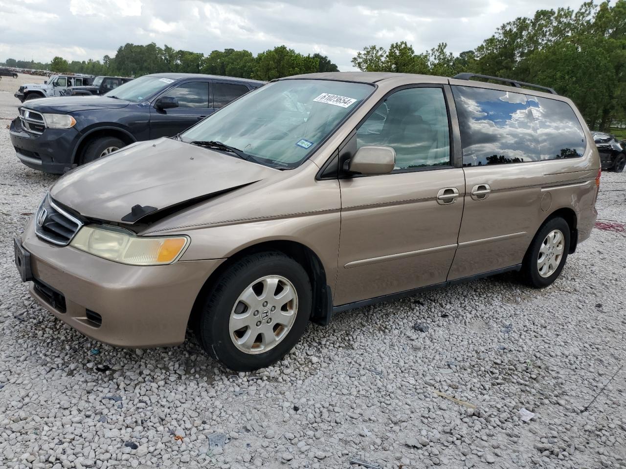 5FNRL18904B003480 2004 Honda Odyssey Exl