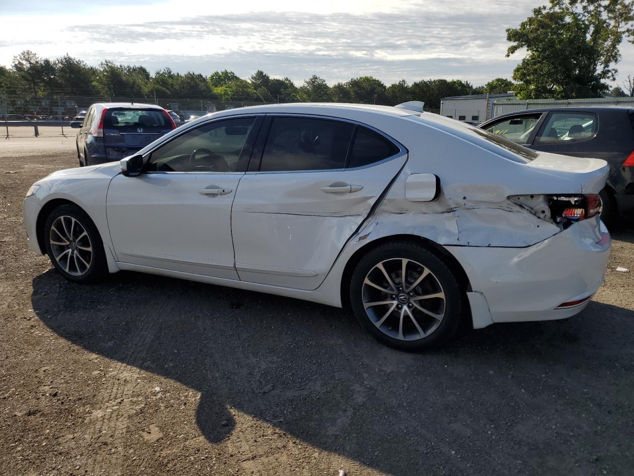 19UUB3F56HA002083 2017 Acura Tlx Tech