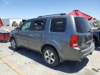 HONDA PILOT EXL photo