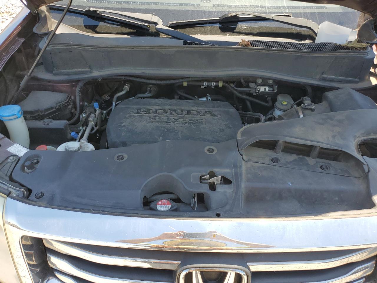 5FNYF4H55DB020731 2013 Honda Pilot Exl