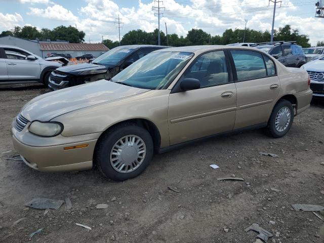 2005 Chevrolet Classic VIN: 1G1ND52F85M200691 Lot: 60606924