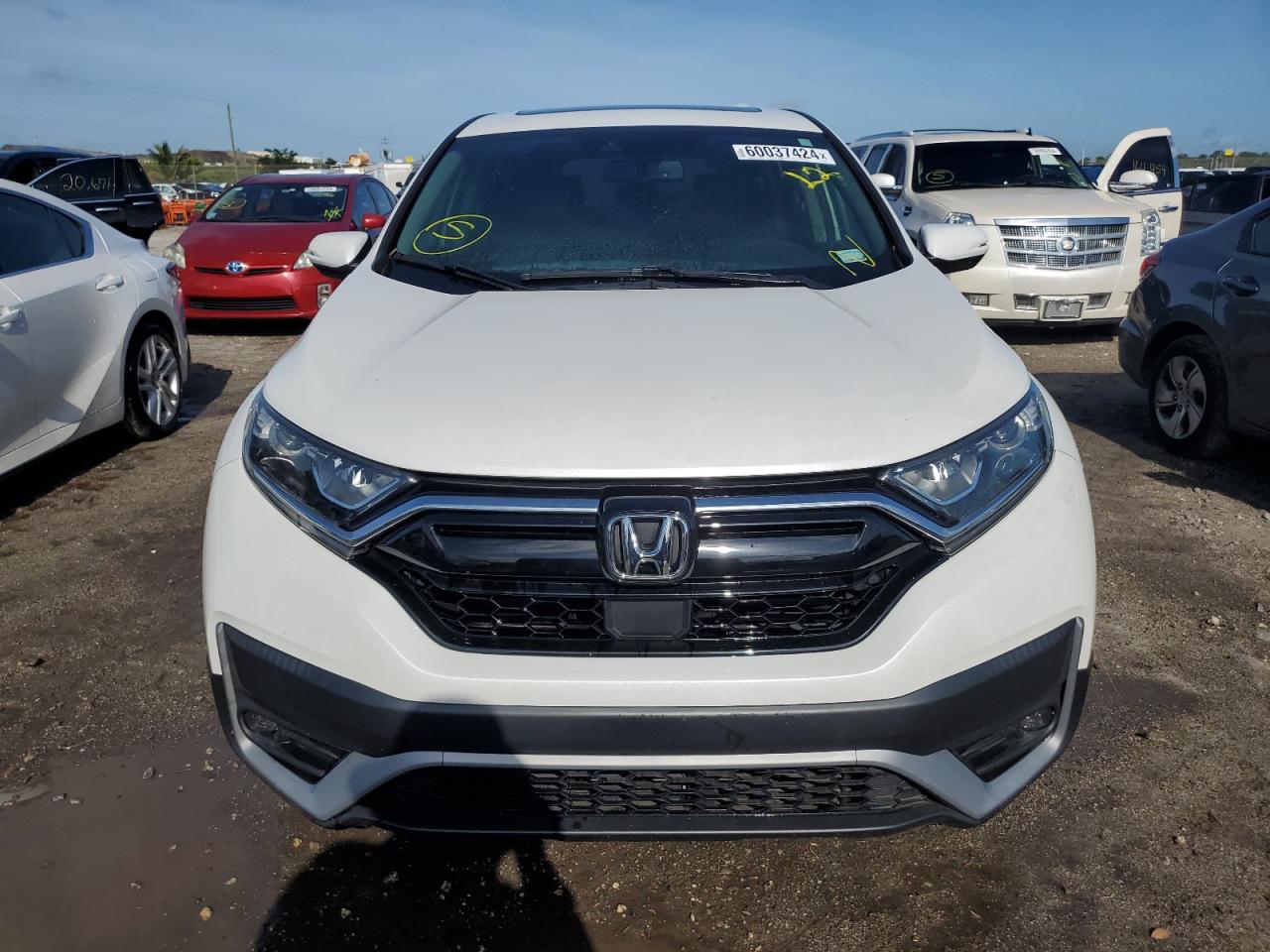 Lot #2981405615 2021 HONDA CR-V EXL