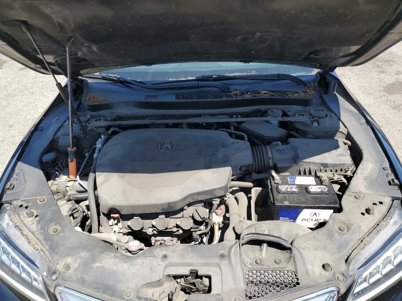 19UUB2F37FA020923 2015 Acura Tlx