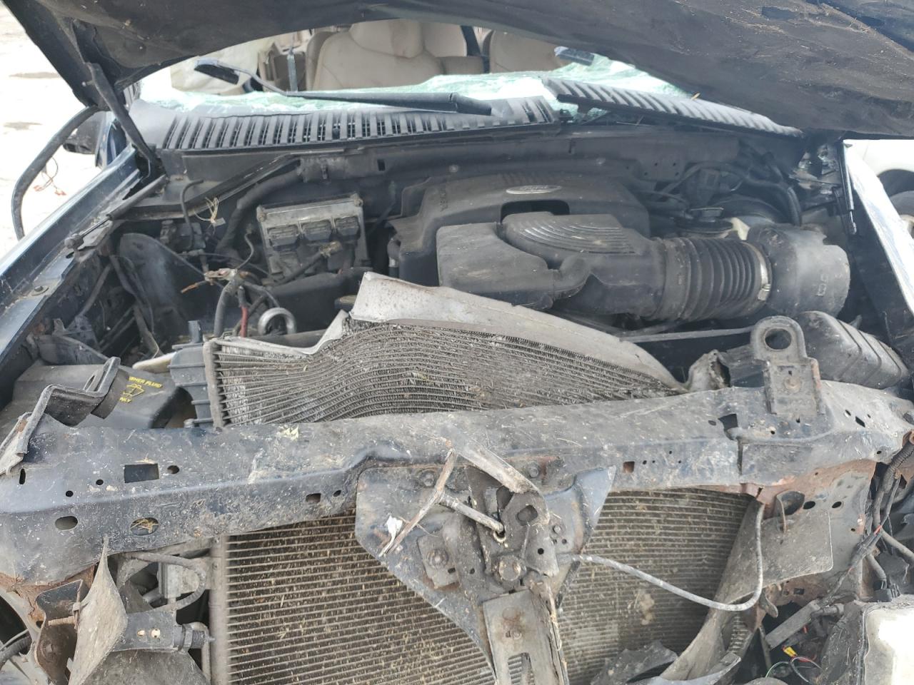 1FMFU18L14LB02829 2004 Ford Expedition Eddie Bauer