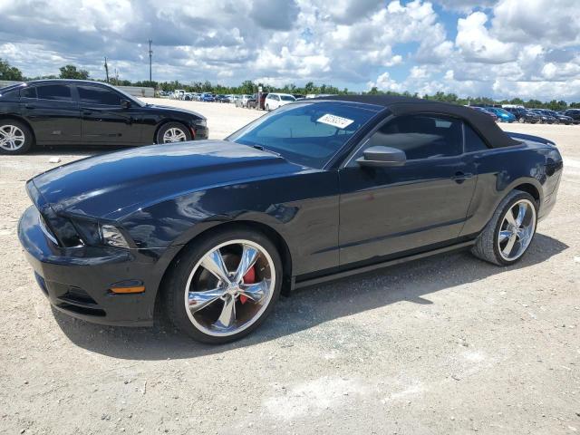 2013 Ford Mustang VIN: 1ZVBP8EM5D5209934 Lot: 60293374