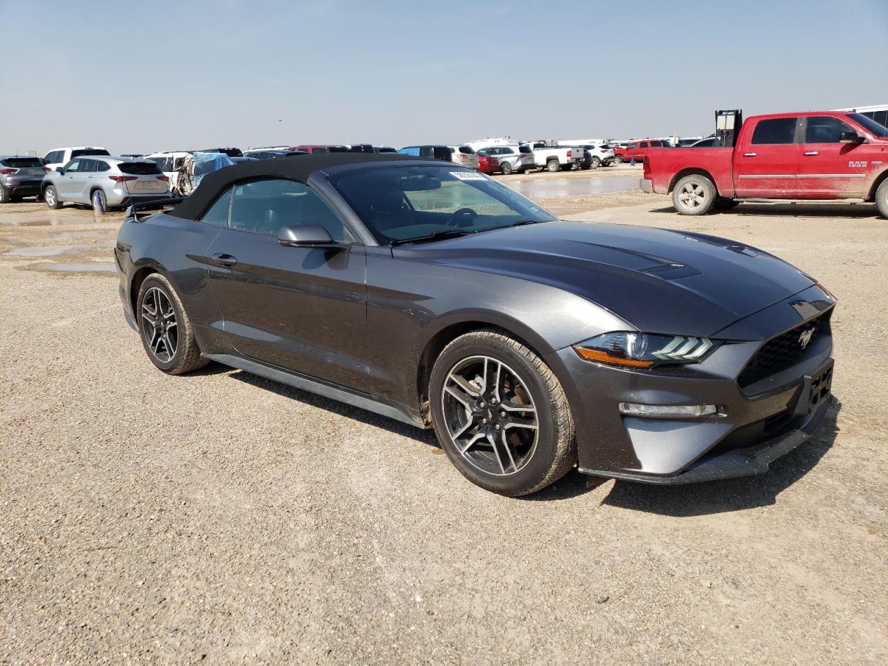 2019 Ford Mustang vin: 1FATP8UH6K5170284