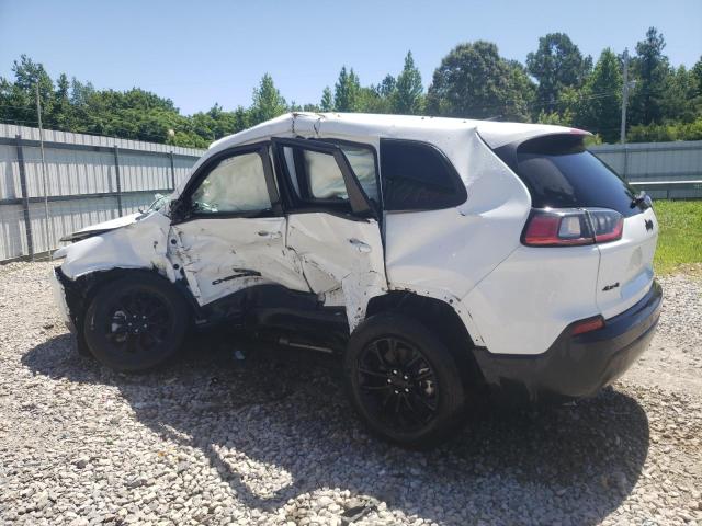 2023 Jeep Cherokee Altitude Lux VIN: 1C4PJMMB2PD115572 Lot: 58012694