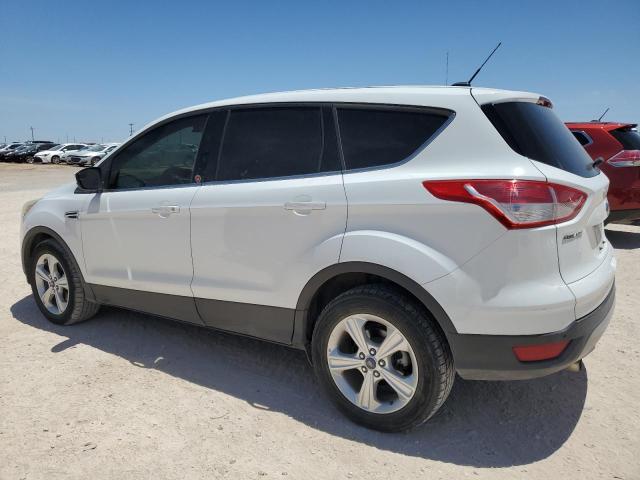 2013 FORD ESCAPE SE 1FMCU0GXXDUA74296  60766174