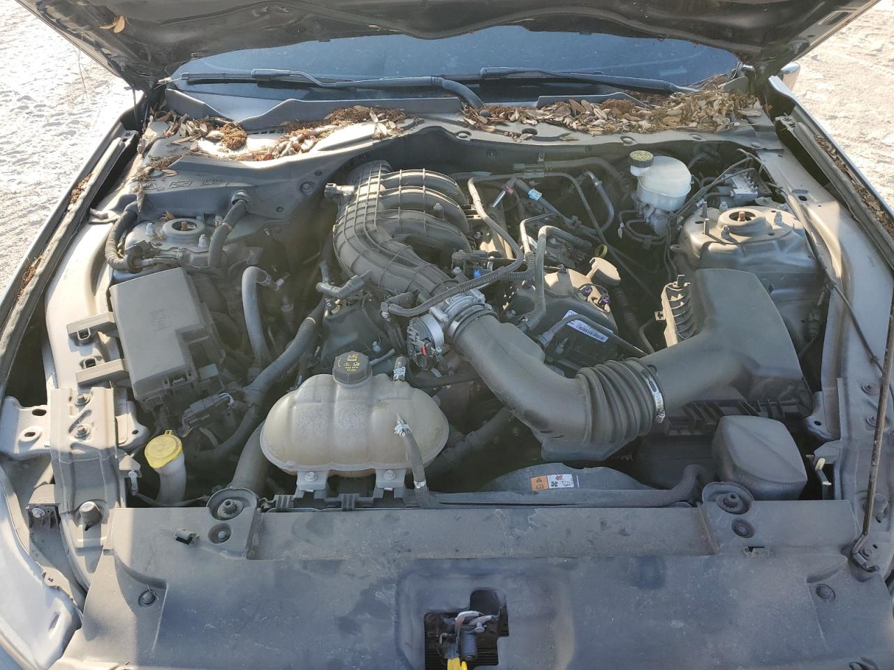 1FA6P8AM7F5368697 2015 Ford Mustang