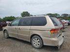 Lot #2872048191 2002 HONDA ODYSSEY EX