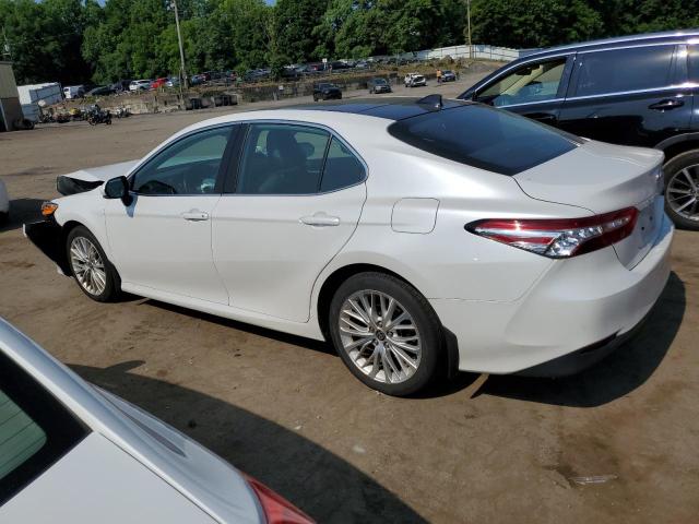 VIN 4T1F11BK9LU009817 2020 Toyota Camry, Xle no.2