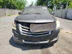 CADILLAC ESCALADE L photo