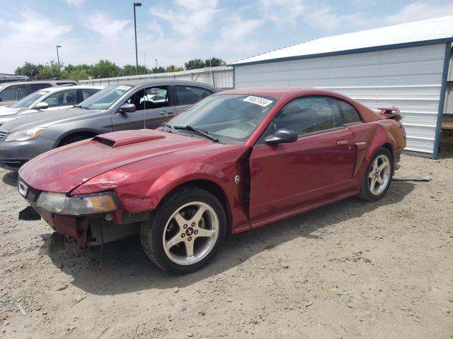 2004 Ford Mustang Gt VIN: 1FAFP42X74F169092 Lot: 58527634