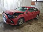 2019 HYUNDAI SONATA SE - 5NPE24AF4KH732518