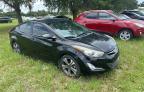 HYUNDAI ELANTRA SE photo