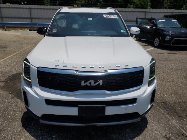 2022 Kia Telluride S VIN: 5XYP6DHC4NG206331 Lot: 59202394