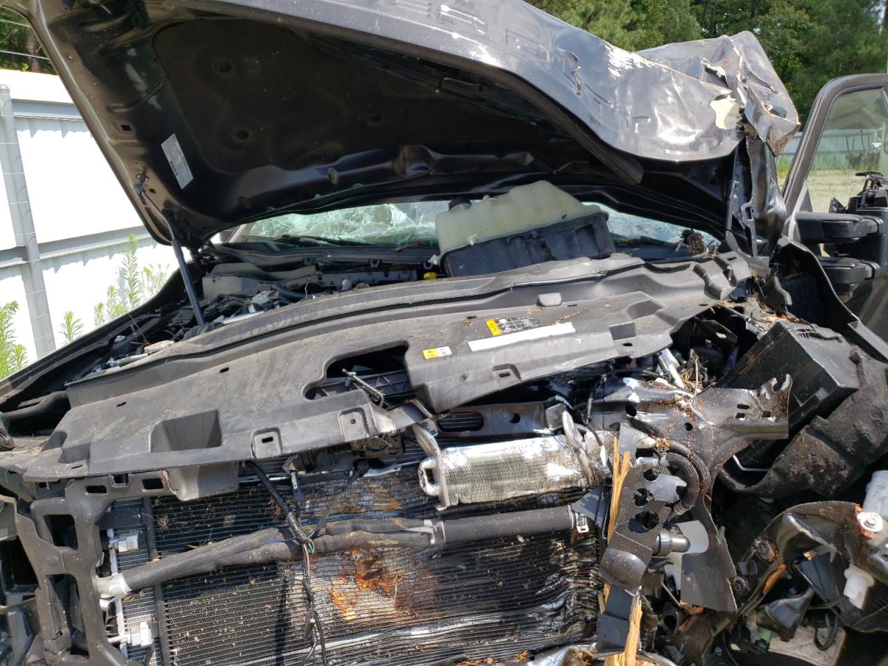 1FT8W3DM5RED59571 2024 Ford F350 Super Duty