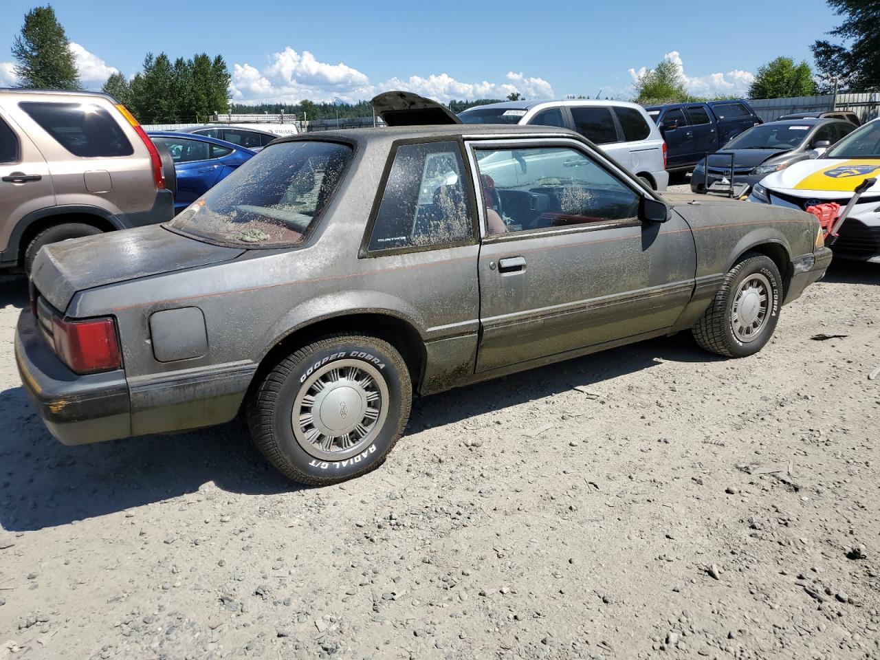 1FABP40A6KF288469 1989 Ford Mustang Lx